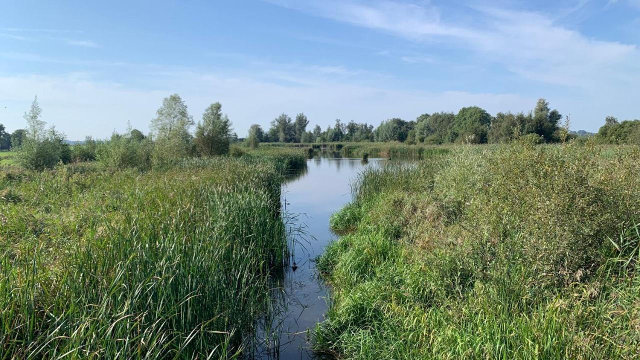 'T Paviljoenhus Bij Sneekermeer Offingawier Ngoại thất bức ảnh