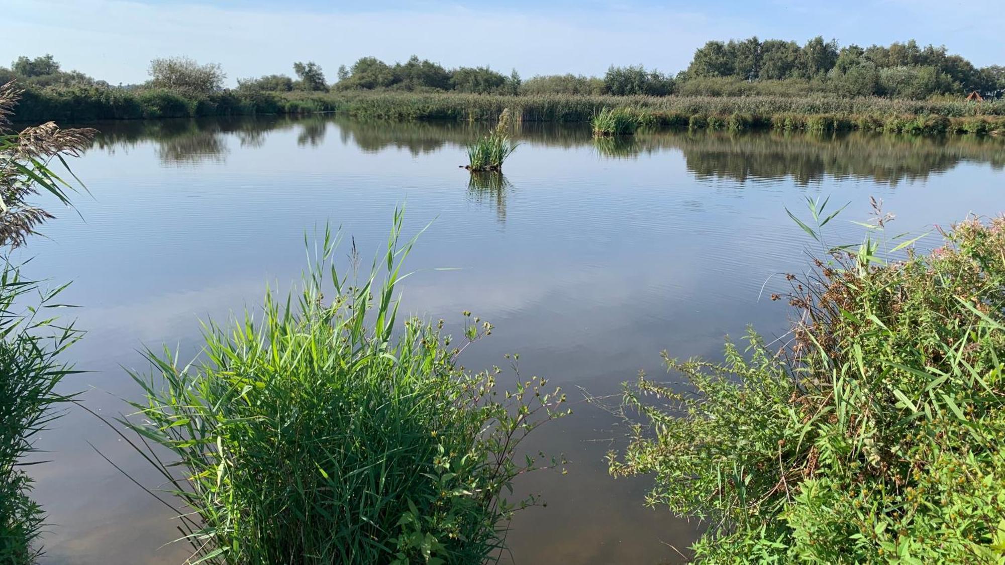 'T Paviljoenhus Bij Sneekermeer Offingawier Ngoại thất bức ảnh